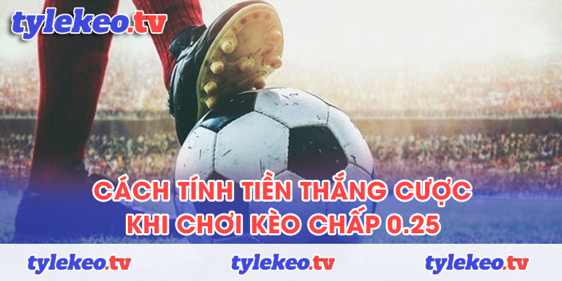 Cách tính tiền thắng cược khi chơi kèo chấp 0.25