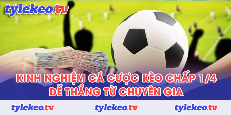 Kinh nghiệm cá cược kèo chấp 1/4 dễ thắng từ chuyên gia