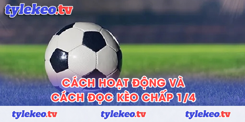 Cách hoạt động và cách đọc kèo chấp 1/4 chi tiết nhất